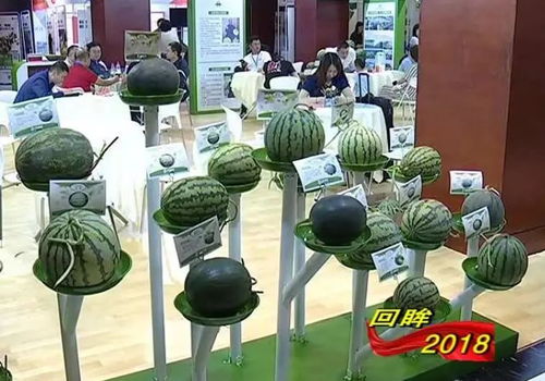 系列報道之三 堅持強(qiáng)農(nóng)惠農(nóng) 鄉(xiāng)村振興邁出堅實步伐